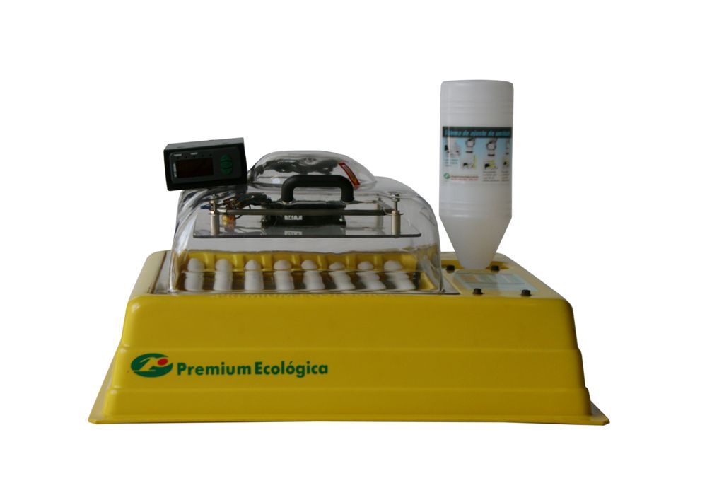Chocadeira IP 35 controle digital de temperatura (Não atende pássaros) 