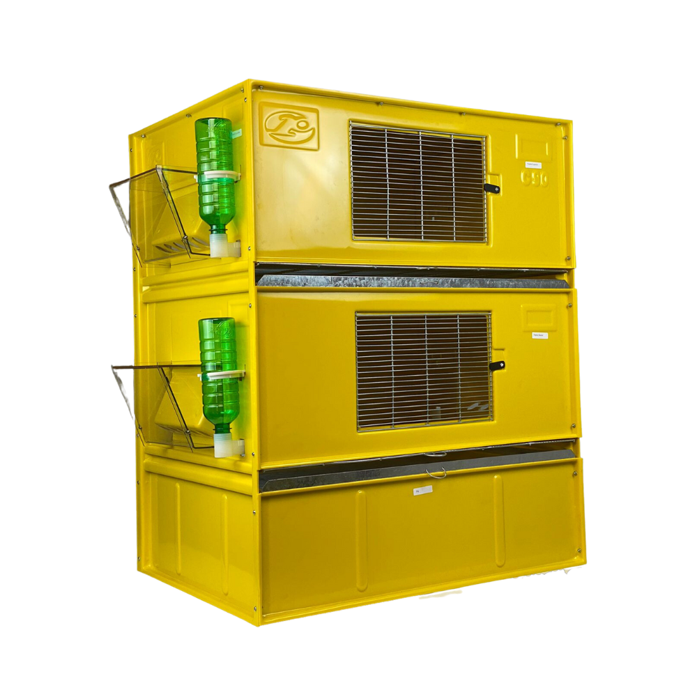 Criadeira para aves - C 90 filhotes - Envio em 7 dias úteis após a compra