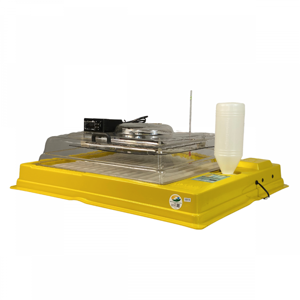 Chocadeira IP 100  (100 Ovos) controle digital de temperatura - Prazo Produção 7 dias úteis após a compra.