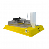 Chocadeira Hobby 48 Premium Ecologica Modelo novo
