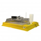 Chocadeira IP 100  (100 Ovos) controle digital de temperatura