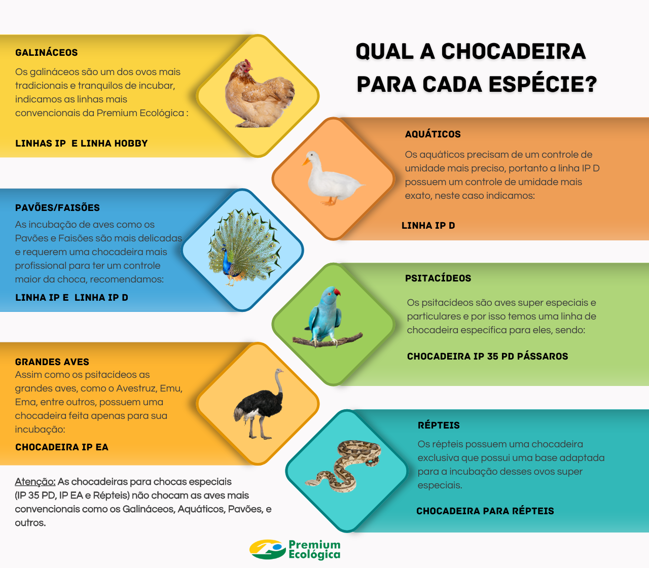Chocadeira por tipo de ave 